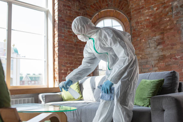 Best Mold Odor Removal Services in Woodcreek, TX