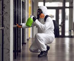 Best Mold Removal for HVAC Installations in Woodcreek, TX